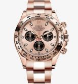 Rolex Daytona Rose